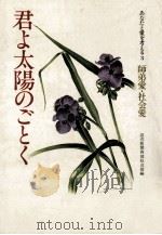 君よ太陽のごとく:師弟愛·社会愛（1980.04 PDF版）