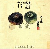武者小路実篤画文集 4 1986.01 PDF电子版封面 中川孝編纂