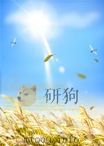 materials chemistry an emerging discipline P573 PDF电子版封面