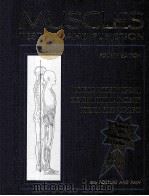 MUSCLES TESTING AND FUNCTION（1993 PDF版）