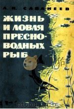 ЖИЗНЬ И ЛОВЛЯ ПРЕСНОВОДНЫХ РЫБ 1965 PDF电子版封面 Л. П. САБАНЕЕВ