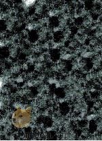 PATTERNS OF SEDIMENTATION DIAGENESIS，AND HYDROCARBON ACCUMULATION IN CRETACEOUS ROCKS OF THE ROCKY M（1983 PDF版）