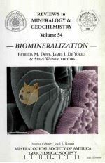 REVIEWS IN MINERALOGY AND GEOCHEMISTRY VOLUME 54 1965 PDF电子版封面 0939950669