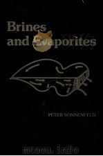 Brines and Evaporites 1985 PDF电子版封面 9780126547801;0126547807
