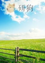 CONTEMPORARY LITERARY CRITICISM VOLUME 75（ PDF版）