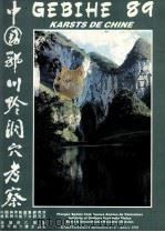 GEOTTES ET KARSTS TROPICAUX DE CHINE MERIDIONALE GEBIHE 89（ PDF版）