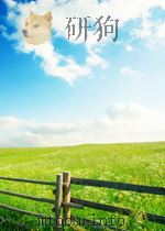 sudden cardiac death P328 PDF电子版封面