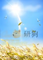 progress in surgery volume 1 P225 PDF电子版封面