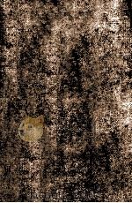 ACTA THRTII EUROPAEI DE CORDIS SCIENTIA CONVENTUS（ PDF版）