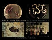 ATLAS OF DIAGNOSTIC MICROBIOLOGY PDF电子版封面 S.STANLEY SCHNEIERSON