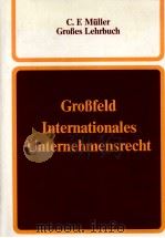 INTERNATIONALES UNTENEHMENSRCHT 1986 PDF电子版封面 3811422863