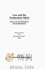 LAW AND THE POSTMODERN MIND 1998 PDF电子版封面 0472108417 PETER GOODRICH