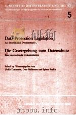 DIE GESETZGEBUNG ZUM DATENSCHTZ 1977 PDF电子版封面 3787530053