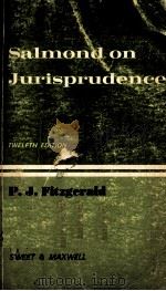 SALMOND ON JURISPRUDENCE  TWELFTH EDTITON（1966 PDF版）