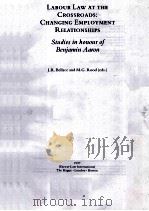 LABOUR LAW AT THE CROSSROADS:CHANGING EMPLOYMENT RELATIONSHIRS（1997 PDF版）