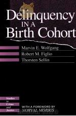 Delinquency in a Birth Cohort 1987 PDF电子版封面 9780226905587;0226905586