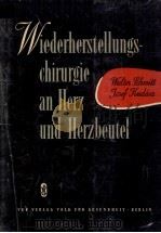 WIEDERHERSTELLUNGSCHIRURGIE AN HERZ UND HERZBEUTEL 1959 PDF电子版封面