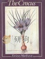 THE CROCUS:A REVISION OF THE GENUS CROCUS(IRIDACEAE)（1982 PDF版）
