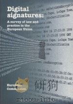 Digital Signatures:A Survey of Law and Practice in the European Union 1999 PDF电子版封面 9781855734692;1855734699