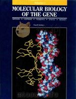 Molecular biology of the gene volume II specialized aspects fourth edition   1987  PDF电子版封面  0805396136   