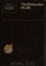 the molecules of life   1985  PDF电子版封面  0716717921   