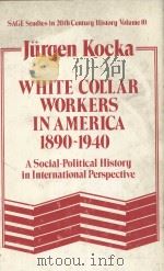 WHITE COLLAR WORKERS IN AMERICA 1890-1940  A SOCIAL-POLITICAL HISTORY IN INTERNATIONAL PERSPECTIVE（1980 PDF版）