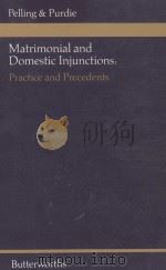MATRIMONIAL AND DOMESTIC INJUNCTIONS PRACTICE AND PRECEDENTS 1982 PDF电子版封面 0406334404