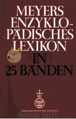 MEYERS ENZYKLOPADISCHES LEXIKON BAND 11: GROS - HE 1974 PDF电子版封面
