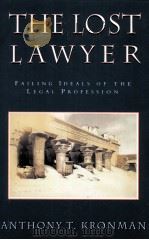 THE LOST LAWYER  FAILING IDEALS OF THE LEGAL PROFESSION（1993 PDF版）