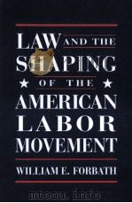 LAW AND THE SHAPING OF THE AMERICAN LABOR MOVEMENT（1989 PDF版）