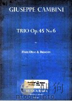 trio op.45 No.6 for flute oboe & bassoon MR 1921 1978 PDF电子版封面