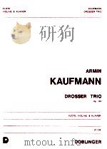 Drosser Trio Op.101 Fl?te Violine & Klavier 07 315 1978 PDF电子版封面