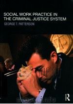 social work practice in the criminal justice system PDF电子版封面