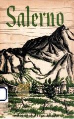 SALERNO AMERICAN OPERATIONS FROM THE BEACHES TO THE VOLTURNO (9 SEPTEMBER-6 OCTOBER 1943) 1943 PDF电子版封面