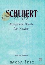 Sonate für Arpeggione und Klavier     PDF电子版封面     