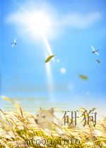 physical activities for young people with severe disabilities PDF电子版封面