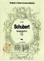 Symphonie Nr.5 B-dur D 485 viola Nr.5205 1992 PDF电子版封面