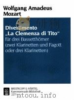 divertimento   1995  PDF电子版封面     