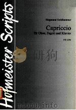 capriccio für oboe fagott und klavier FH 2296 1995 PDF电子版封面