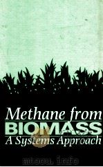 Methane from biomass : A systems approach 1988 PDF电子版封面 1851661026