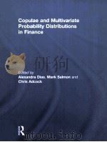 copulae and multivariate probability distributions in finance PDF电子版封面