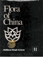 flora of china volume 11 PDF电子版封面 1930723733 吴征镒,peter H.RAVEN著