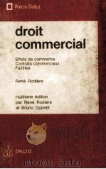 DROIT COMMERCIAL EFFETS DE COMMERCE CONTRATS COMMERCIAUX FAILLITES 1978 PDF电子版封面 2247021018