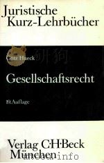 GESELLSCHAFTSRECHT 19.AUFLAGE（1991 PDF版）