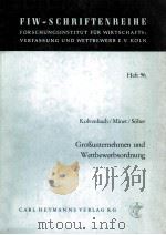 GROBUNTERNEHMEN UND WETTBEWERBSORDNUNG   1981  PDF电子版封面  3452189595   