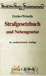 STRAFGESETZBUCH 1993 PDF电子版封面 3406371639