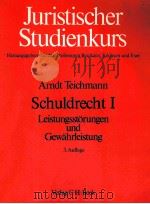 SCHULDRECHT 1 1988 PDF电子版封面 3406328121