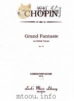 Grand Fantasie on Polish Tunes Op.13（ PDF版）
