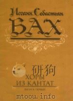 XOPBI 1985 PDF电子版封面 NOAHH