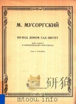 NO-HAI NOHYOM 1985 PDF电子版封面 M.MYCOPTCKHNN